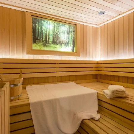 Maybach Whg 5 Metropol *